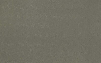 Babylon Gray Concrete Finish