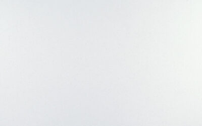 Calico White