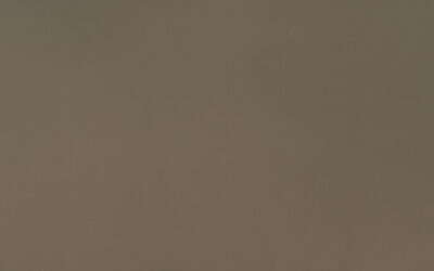Fossil Brown