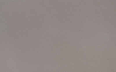 Fossil Gray